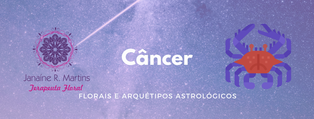 Horóscopo Câncer Agosto 2020 ♋ 